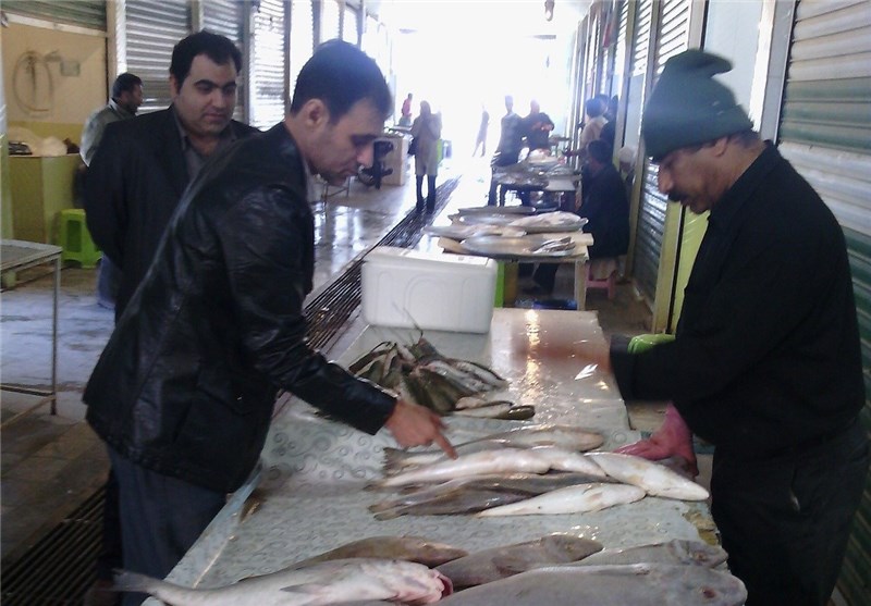 جدول قیمت انواع ماهی در بازار