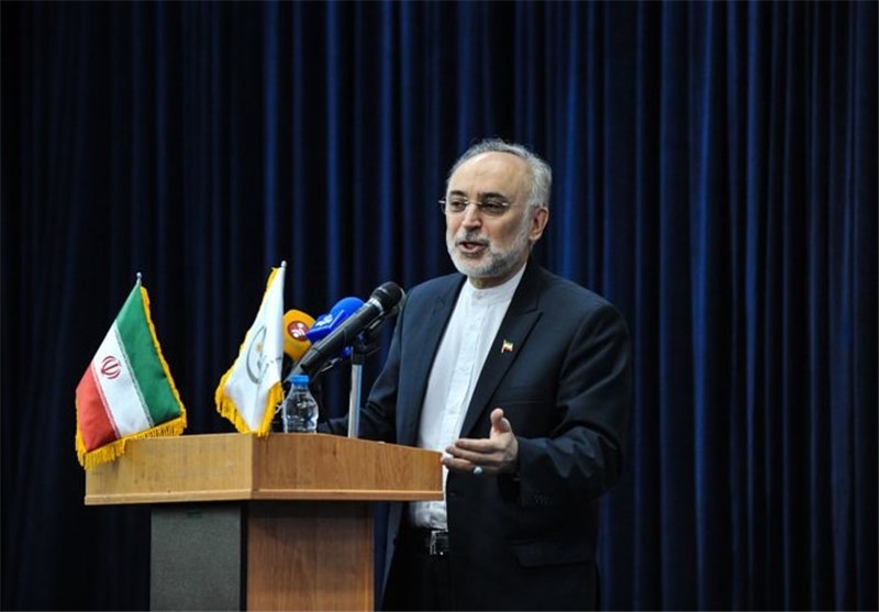 Iran Ready to Share Nuclear Experience with Neighbors: AEOI Cheif