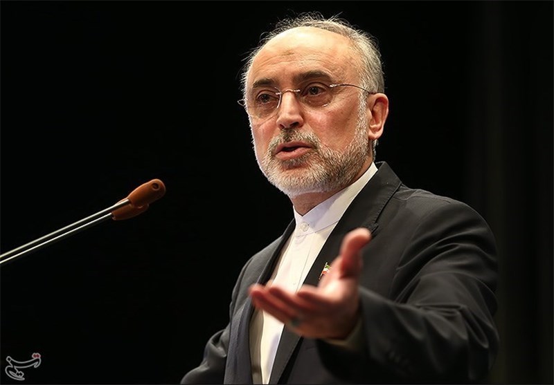 صالحی: کیک زرد ایران به 934 تن رسید/ بیمارستان فوق‌مدرن هسته‌ای در مراحل پایانی تامین مالی است