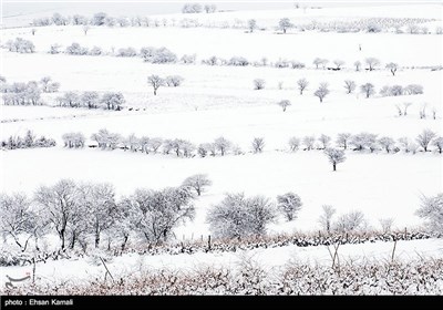 Iran’s Beauties in Photos: Winter in North Khorasan