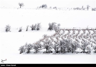 Iran’s Beauties in Photos: Winter in North Khorasan