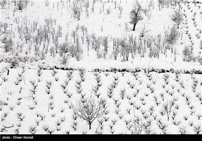 Iran’s Beauties in Photos: Winter in North Khorasan