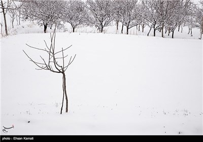 Iran’s Beauties in Photos: Winter in North Khorasan