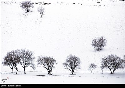 Iran’s Beauties in Photos: Winter in North Khorasan