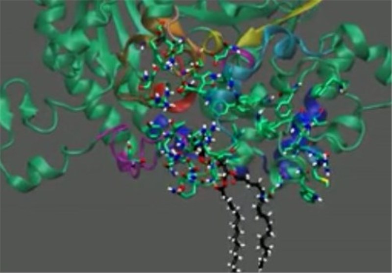 3d Enzyme Model Provides New Tool for Anti-Inflammatory Drug Development