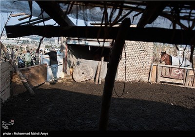 Basij Forces Hold Drills in Northern Iran