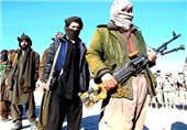 عدم اجازه نمایندگان طالبان به امارات متحده عربی شایعه است