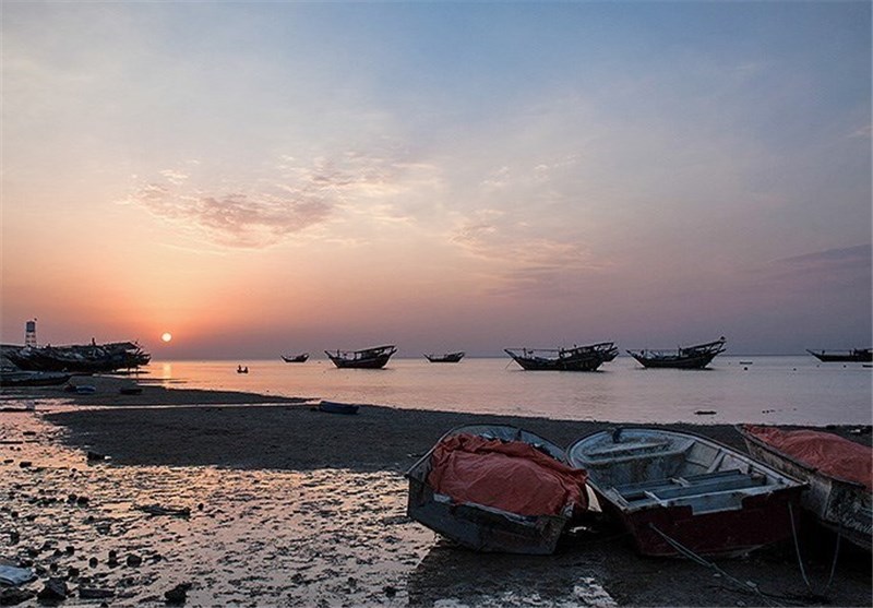 پاکسازی سواحل بوشهر به فرهنگ عمومی تبدیل شود