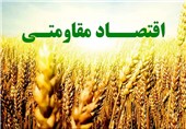 افزایش 4 برابری تسهیلات اشتغال‌زایی اقتصاد مقاومتی خراسان جنوبی