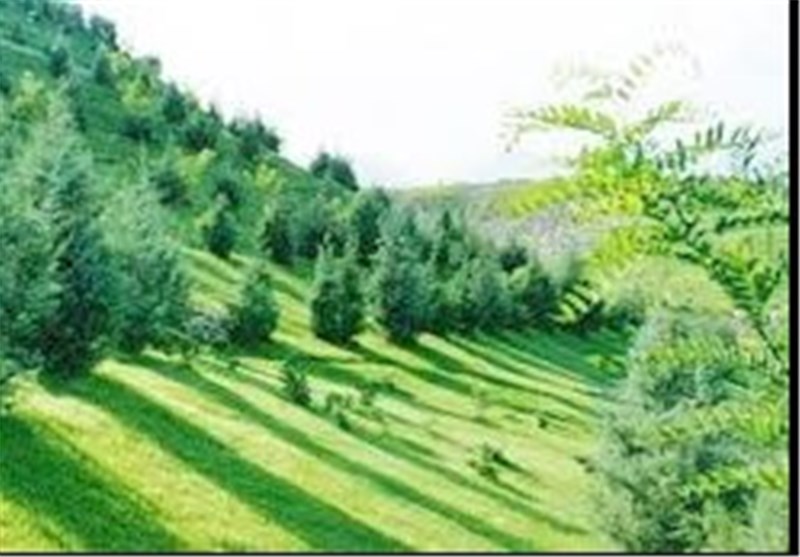 کمربند سبز در تمام عرصه‌های منابع طبیعی لرستان ایجاد می‌شود