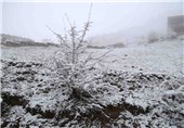 بارش برف در دامنه‌های کوهستان استان گیلان ادامه دارد