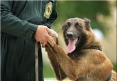 مرزهای آذربایجان غربی به سگها و دستگاه‌های موادیاب مخدر تجهیز می‌شود