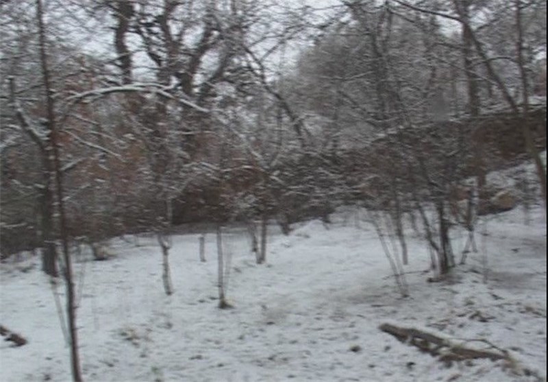 بارش 60 سانتی‌متر برف در محورهای کوهستانی مرکز مازندران