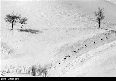 Iran’s Beauties in Photos: Winter in Ardebil