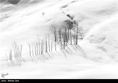 Iran’s Beauties in Photos: Winter in Ardebil