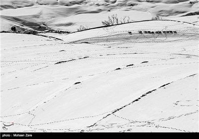 Iran’s Beauties in Photos: Winter in Ardebil