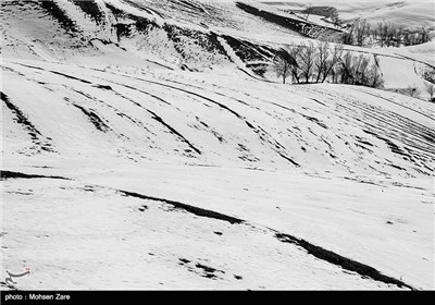 Iran’s Beauties in Photos: Winter in Ardebil