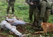 حمله نظامیان صهیونیست با سگ‌های پلیس به یک نوجوان فلسطینی