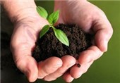 ورود مباحث «درختکاری و محیط زیست» به کتب درسی تمامی مقاطع تحصیلی