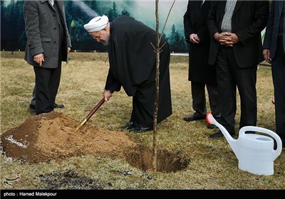 کاشت یک اصله نهال گردو توسط حجت‌الاسلام حسن روحانی رئیس جمهور در آستانه روز درختکاری