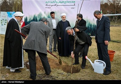کاشت یک اصله نهال گردو توسط حجت‌الاسلام حسن روحانی رئیس جمهور در آستانه روز درختکاری
