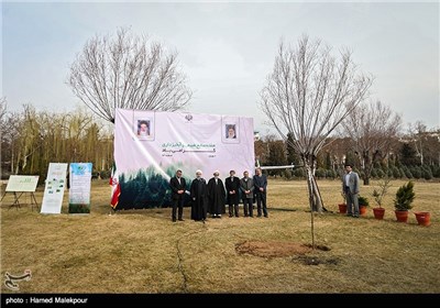 سخنرانی حجت‌الاسلام حسن روحانی رئیس جمهور در مراسم کاشت یک اصله نهال در آستانه روز درختکاری
