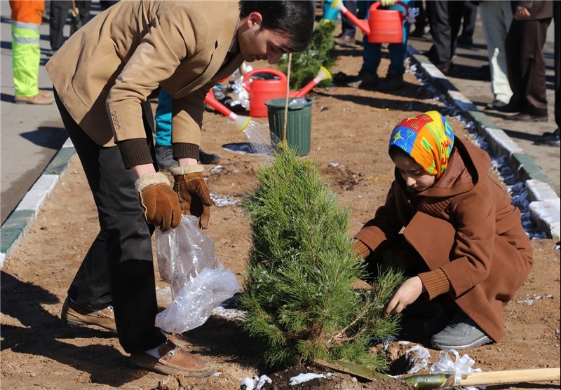 مراسم &quot;هر سال هر شهروند یک درخت &quot;در زنجان برگزار شد