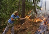 تصاویر آتش سوزی در کوه های کیپ تاون