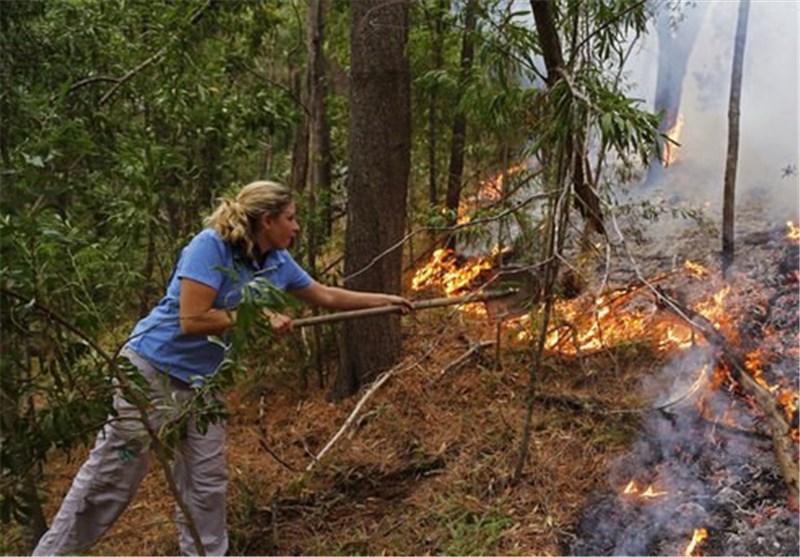تصاویر آتش سوزی در کوه های کیپ تاون