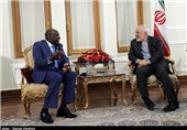 Senegalese Diplomat Urges Closer Tehran-Dakar Ties