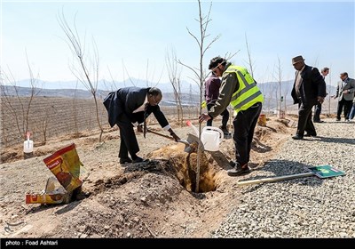 کاشت درخت توسط سفرای برخی از کشورهای خارجی در مراسم درختکاری و افتتاح 1020 هکتار جنگلکاری در دامنه جنوبی البرز