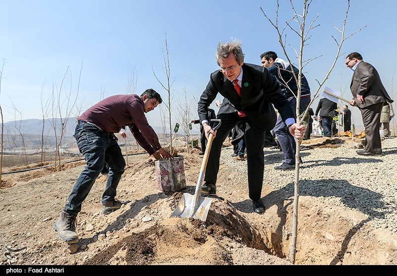تامین و تولید 500 هزار اصله نهال برای جنگل کاری در تهران