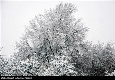 Snow Blankets Tehran’s Suburb City of Damavand