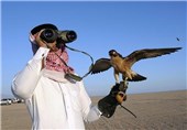 اسلام‌آباد مجوز صادرات 10 پرنده کمیاب را برای شاهزاده عربستانی صادر کرد