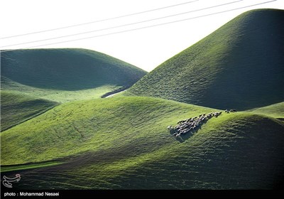 Iran’s Beauties in Photos:Turkmen Sahra