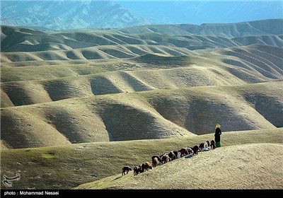 Iran’s Beauties in Photos:Turkmen Sahra