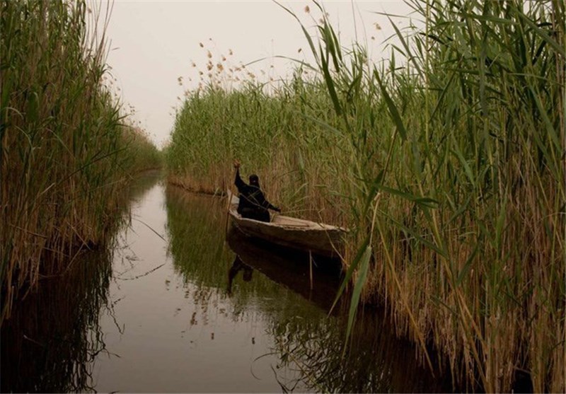 تصاویر بازگشت زندگی به «بهشت عدن»