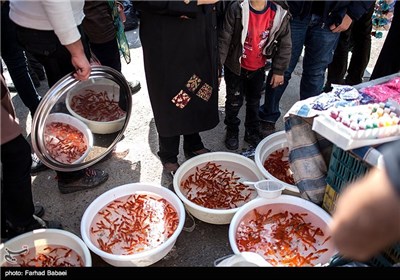 Local Bazaar in Iran’s Northern City of Juybar