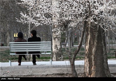 Spring Blooms in Iran&apos;s Northern Province of Alborz