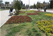 صرفه‌جویی 5 میلیارد ریالی شهرداری شهرضا با کاشت گل‌های فصلی