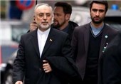 Iran’s Fact Sheet on Lausanne Statement Ready: AEOI Chief