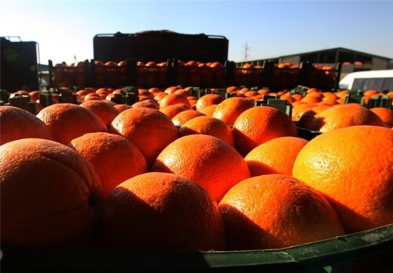 طرح محدودیت صادرات میوه تا پایان رمضان در دستور کار ستاد تنظیم بازار قرار گرفت