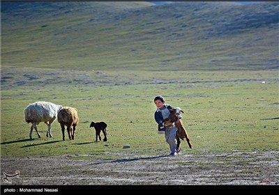 Tribes in Iran’s Northeastern Region of Gorgan