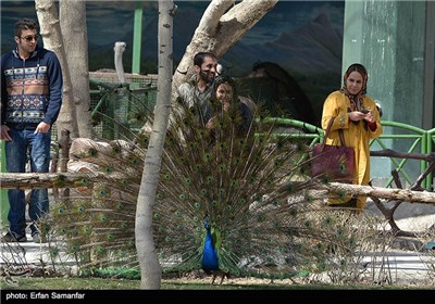 Iran's Beauties in Photos: Birds Garden of Isfahan