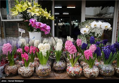 بازار گل و گیاه تهران در آخرین روزهای سال 1393
