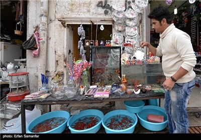  Persian New Year to Start on Saturday