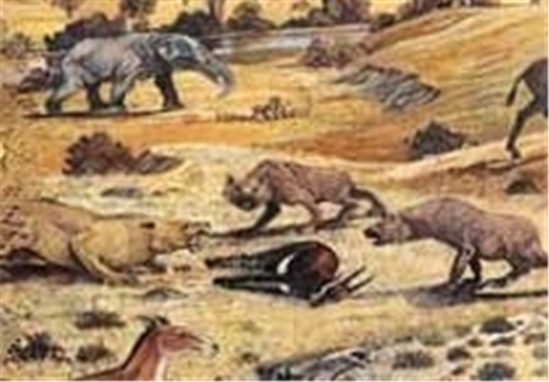 موزه فسیل‌های منطقه فسیلی مراغه با قدمت 7 میلیون ساله+ تصاویر