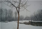 بارش برف، کشاورزان شهرستان دهاقان را غافلگیر کرد