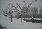 نخستین برف پاییزی مدارس اردبیل را تعطیل کرد