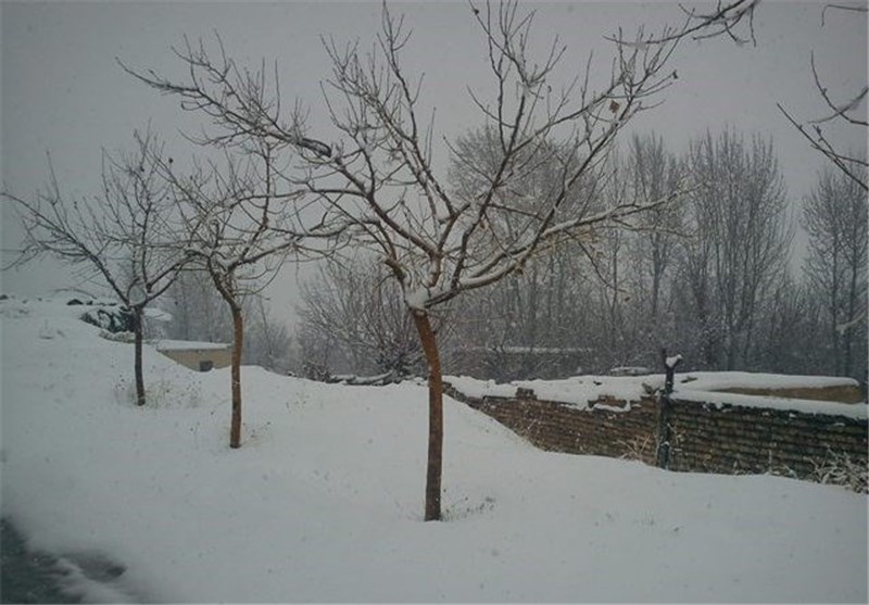 نخستین برف پاییزی مدارس اردبیل را تعطیل کرد